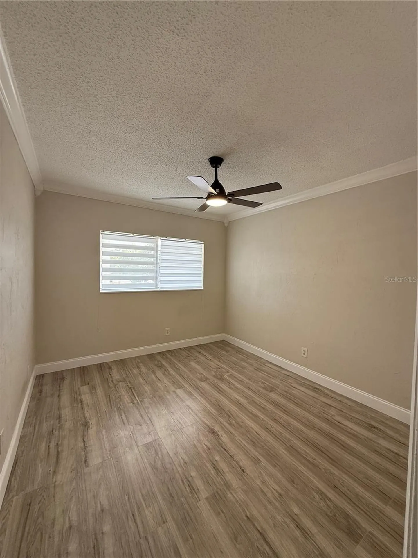 2428 Columbia Drive Clearwater FL 33763