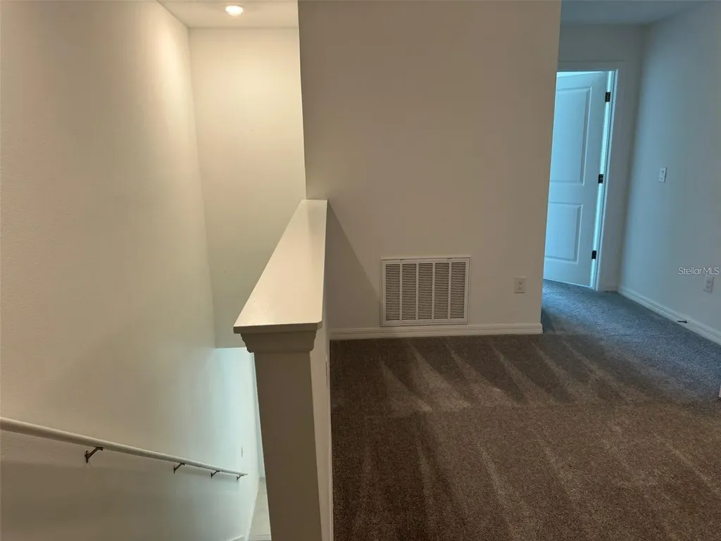 10375 Trumpet Honeysuckle Way San Antonio FL 33576