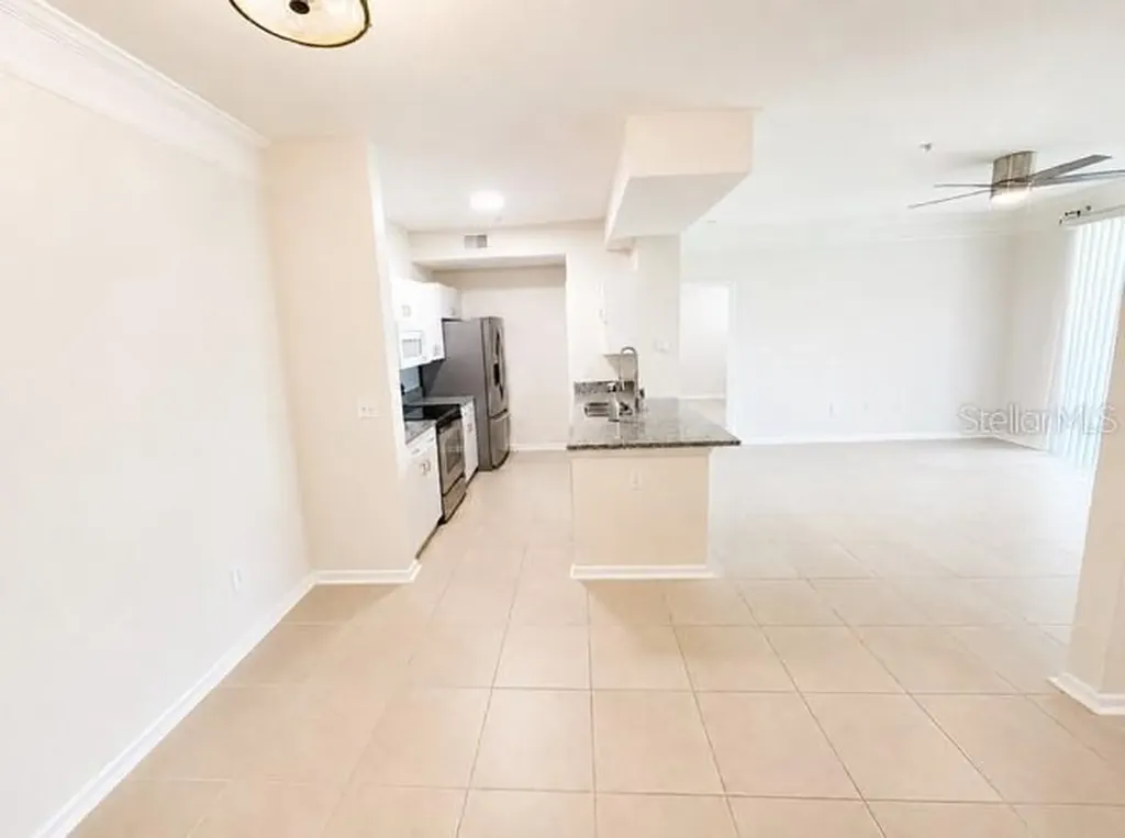 17102 Carrington Park Drive Tampa FL 33647