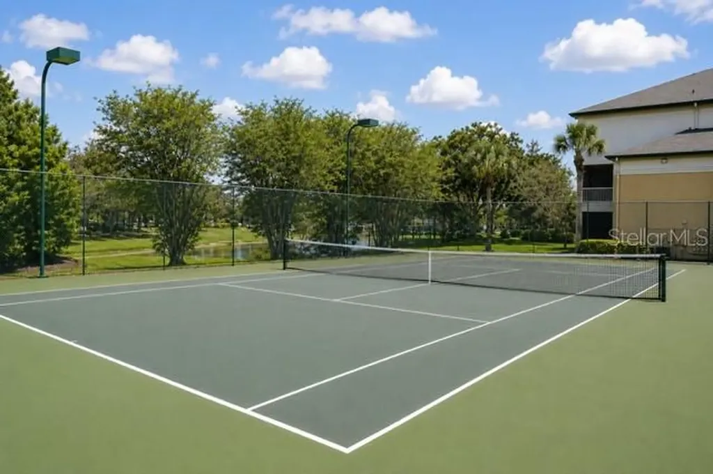 17102 Carrington Park Drive Tampa FL 33647