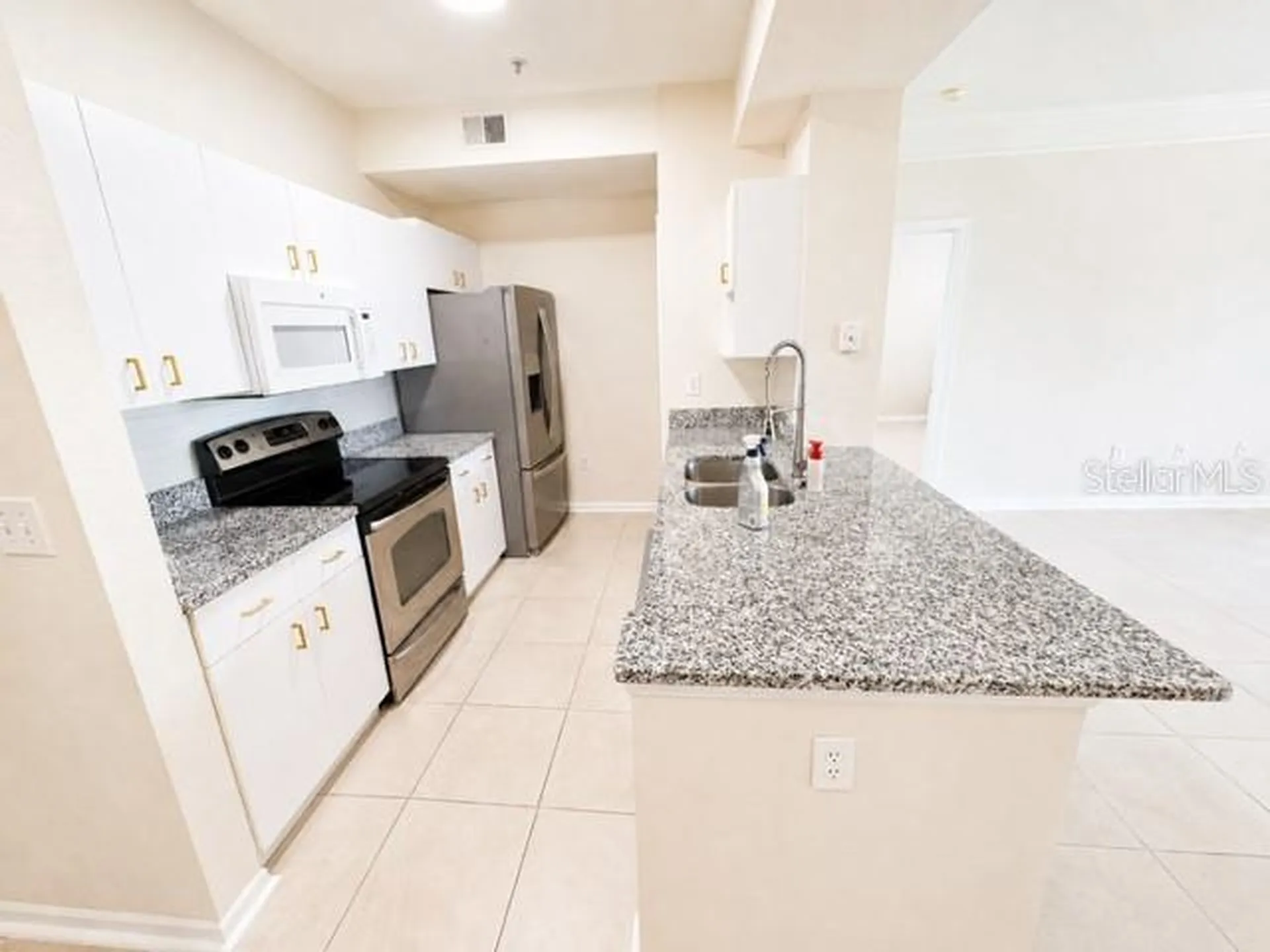 17102 Carrington Park Drive Tampa FL 33647