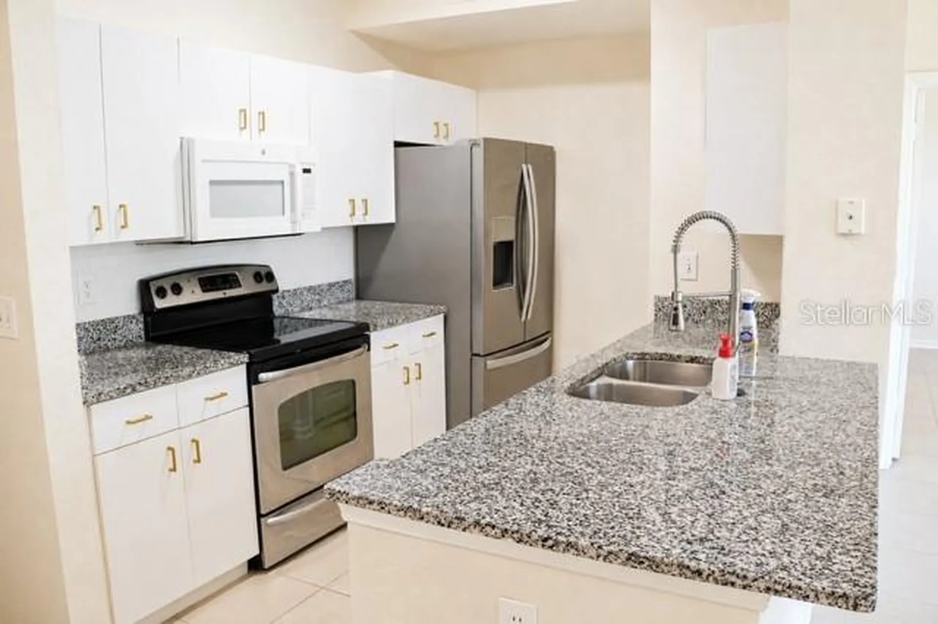 17102 Carrington Park Drive Tampa FL 33647
