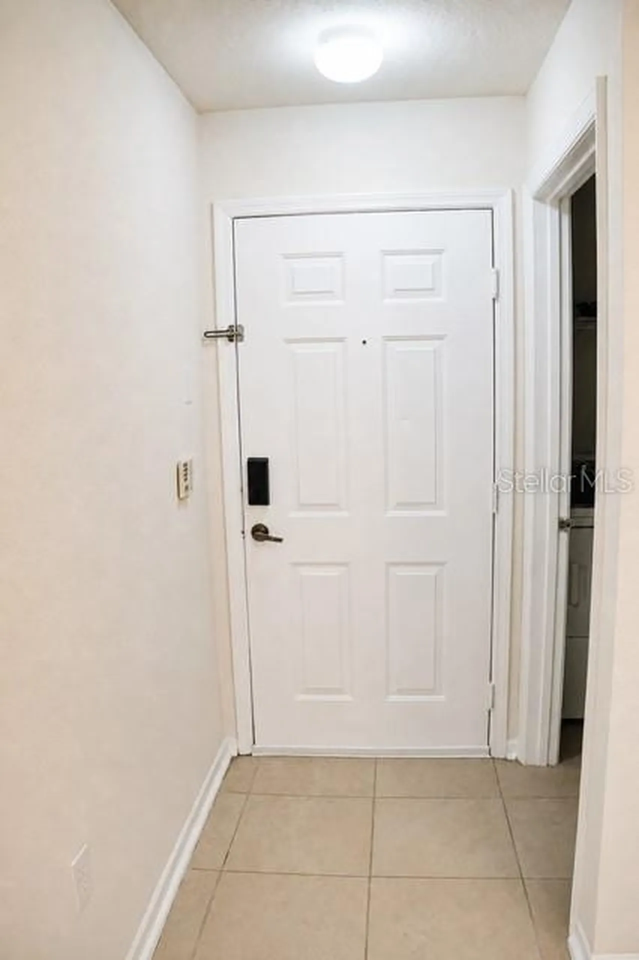 17102 Carrington Park Drive Tampa FL 33647
