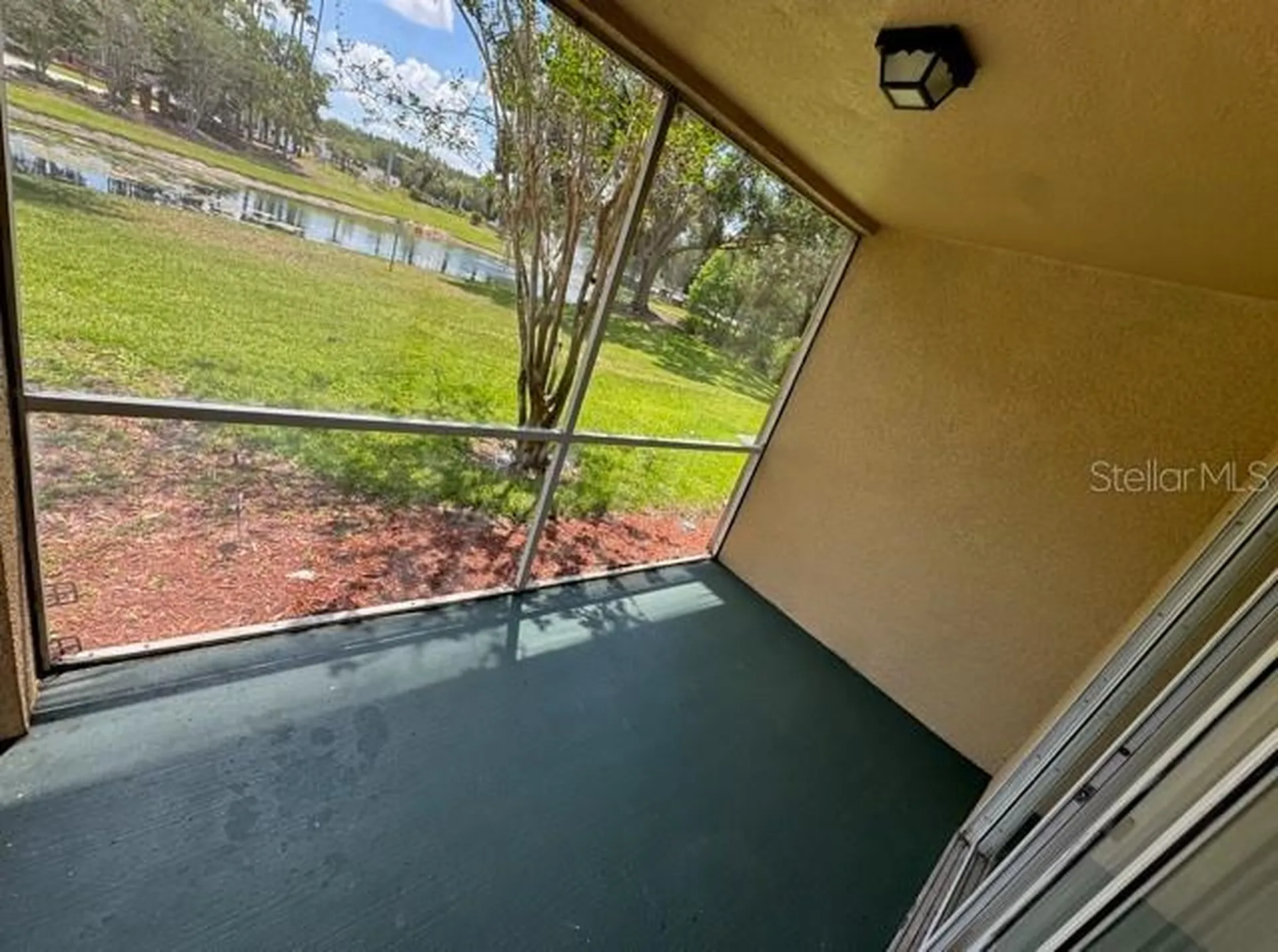 17102 Carrington Park Drive Tampa FL 33647