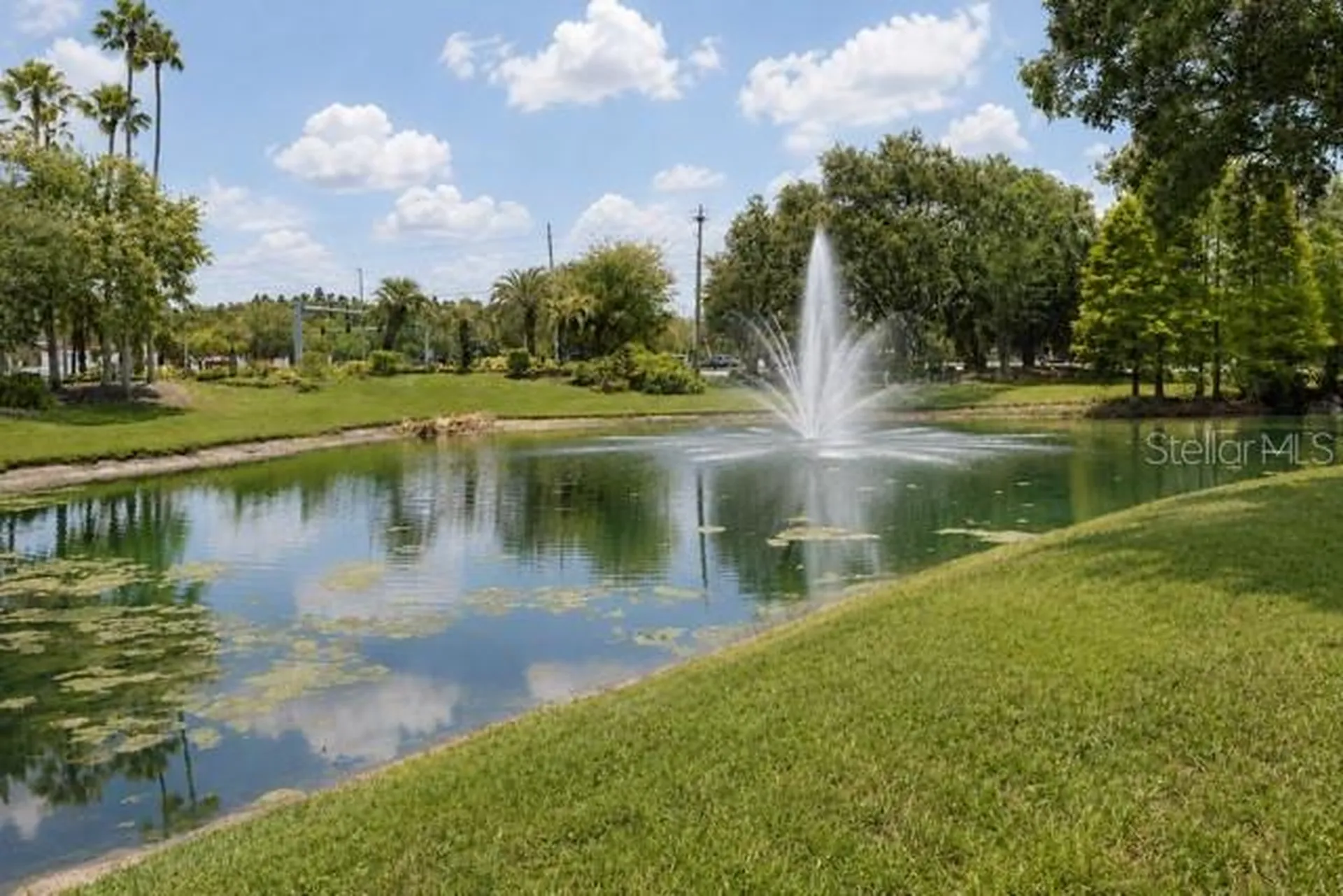 17102 Carrington Park Drive Tampa FL 33647
