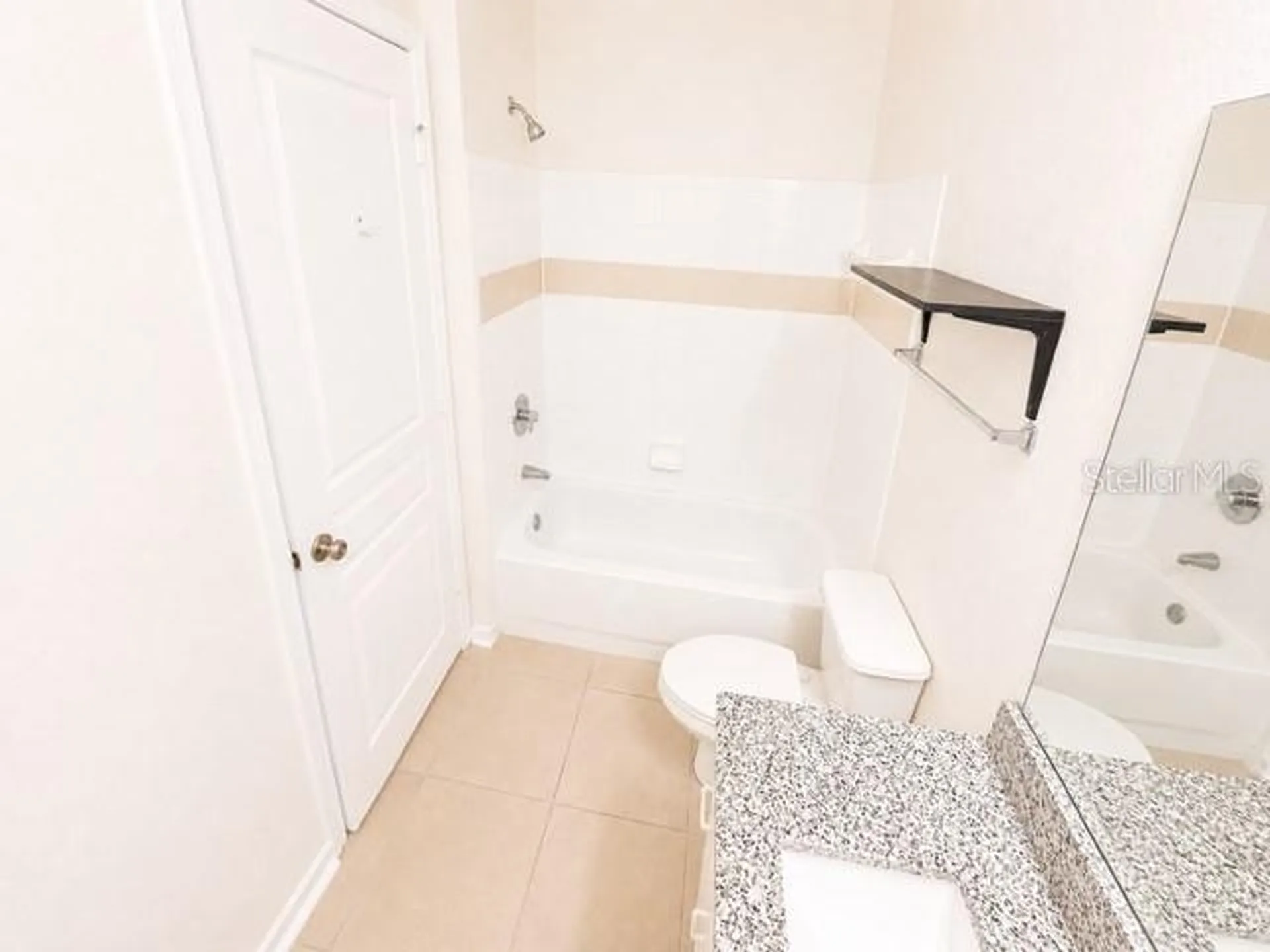 17102 Carrington Park Drive Tampa FL 33647
