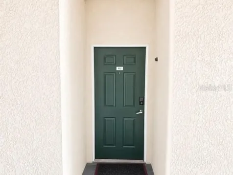 17102 Carrington Park Drive Tampa FL 33647