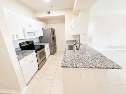 17102 Carrington Park Drive Tampa FL 33647