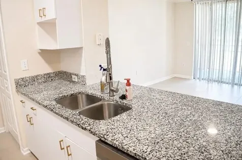 17102 Carrington Park Drive Tampa FL 33647