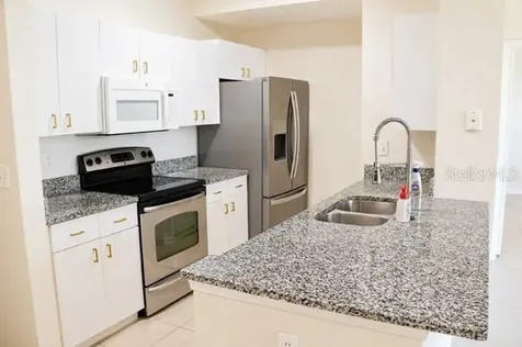 17102 Carrington Park Drive Tampa FL 33647