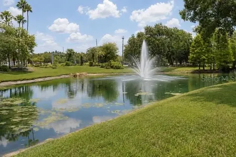 17102 Carrington Park Drive Tampa FL 33647