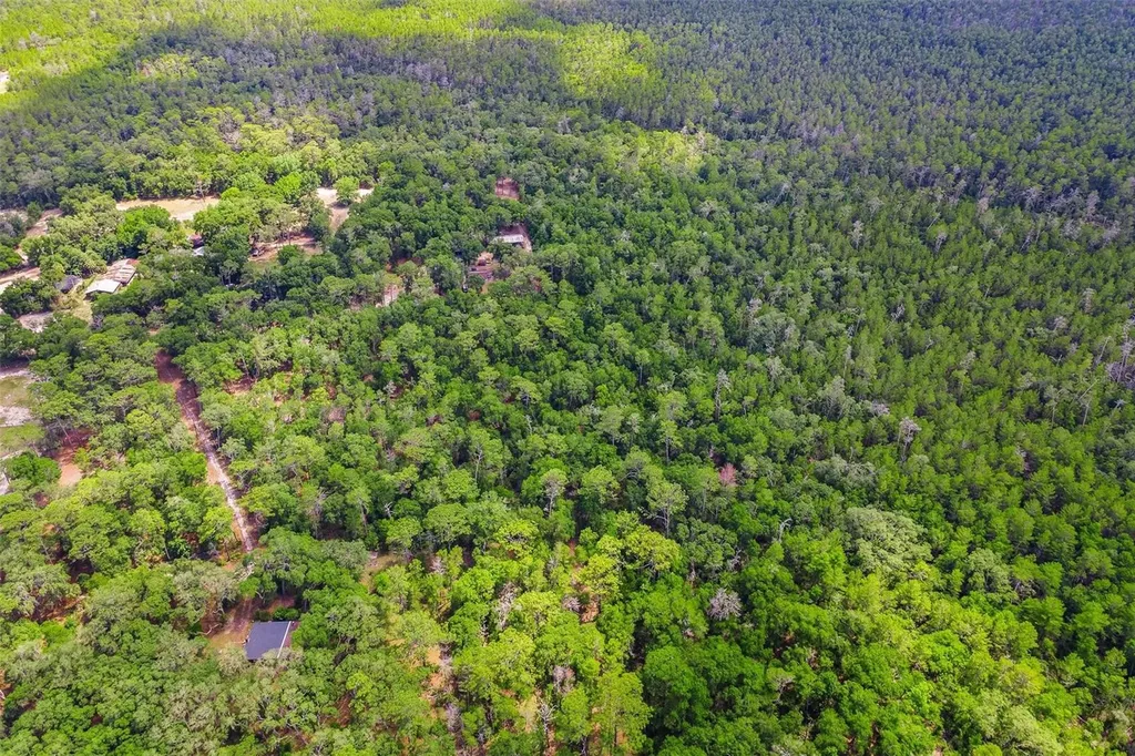 SE 152nd - Lot 17 (ravenswood Rd) Parcel C Place Altoona FL 32702