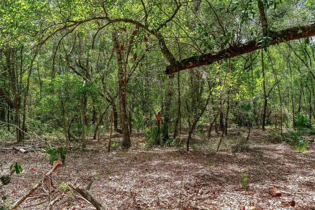 SE 152nd - Lot 17 (ravenswood Rd) Parcel C Place Altoona FL 32702
