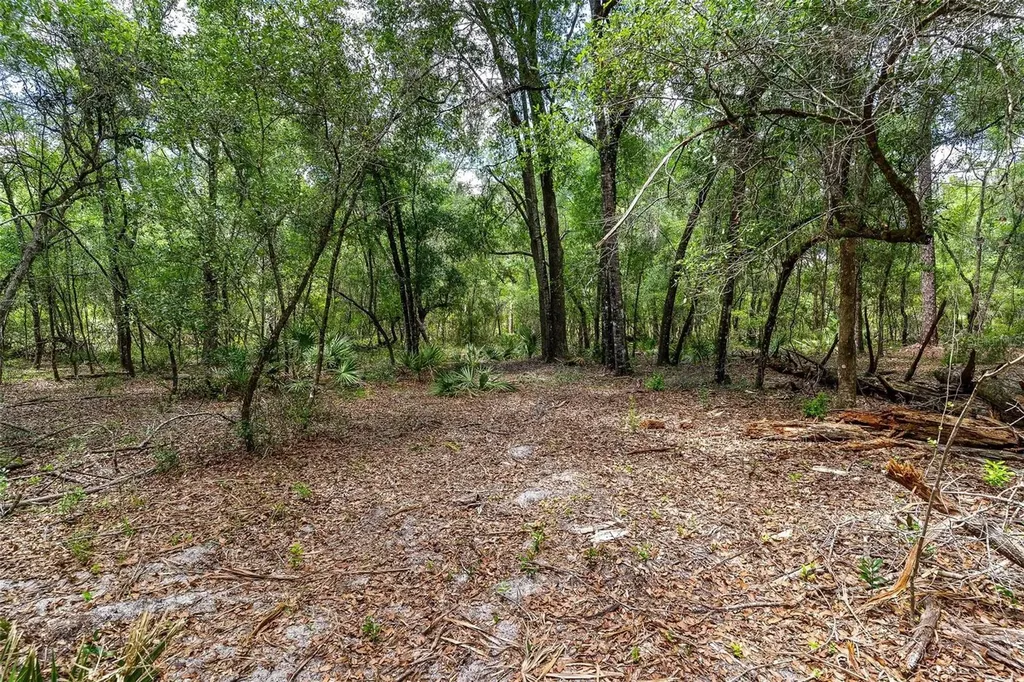 SE 152nd - Lot 17 (ravenswood Rd) Parcel C Place Altoona FL 32702
