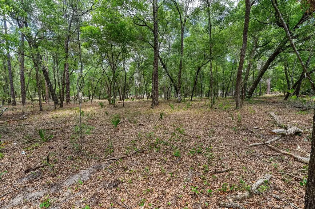 SE 152nd - Lot 17 (ravenswood Rd) Parcel C Place Altoona FL 32702