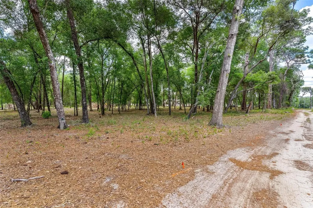 SE 152nd - Lot 17 (ravenswood Rd) Parcel C Place Altoona FL 32702
