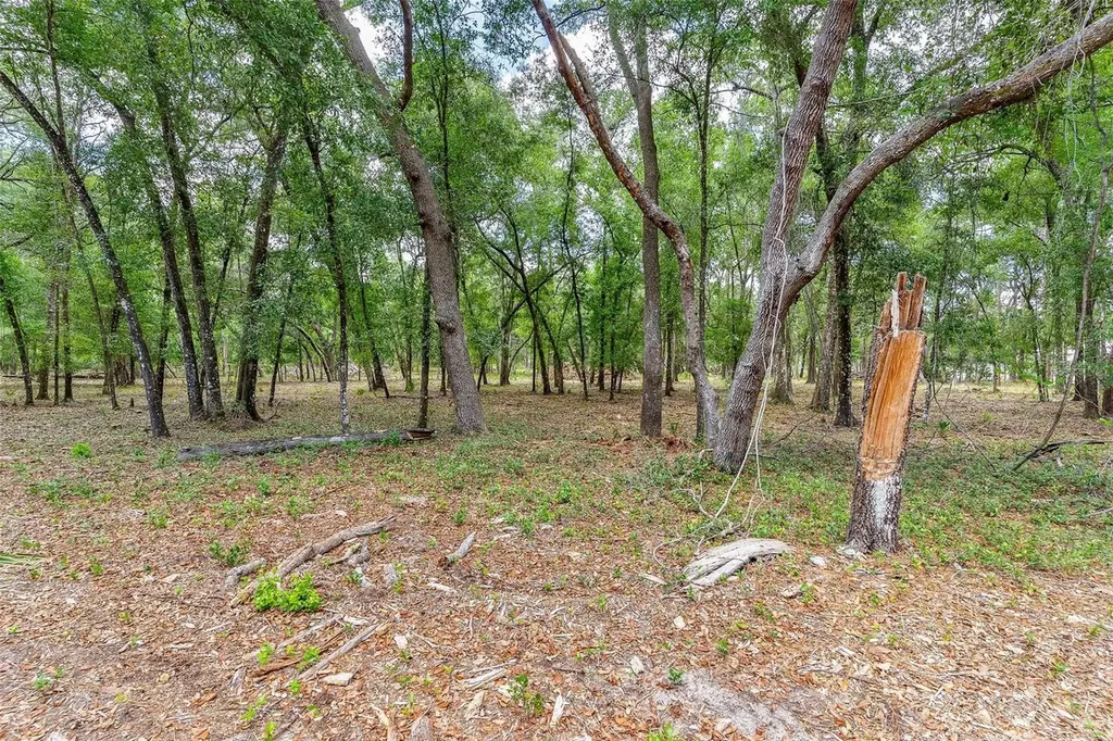SE 152nd - Lot 17 (ravenswood Rd) Parcel C Place Altoona FL 32702