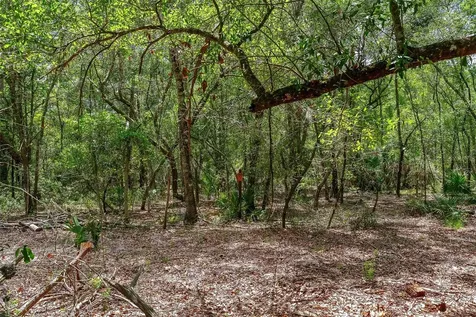 SE 152nd - Lot 17 (ravenswood Rd) Parcel C Place Altoona FL 32702