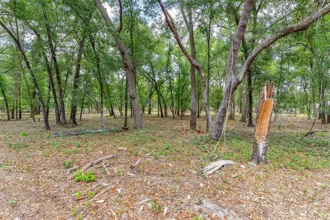 SE 152nd - Lot 17 (ravenswood Rd) Parcel C Place Altoona FL 32702
