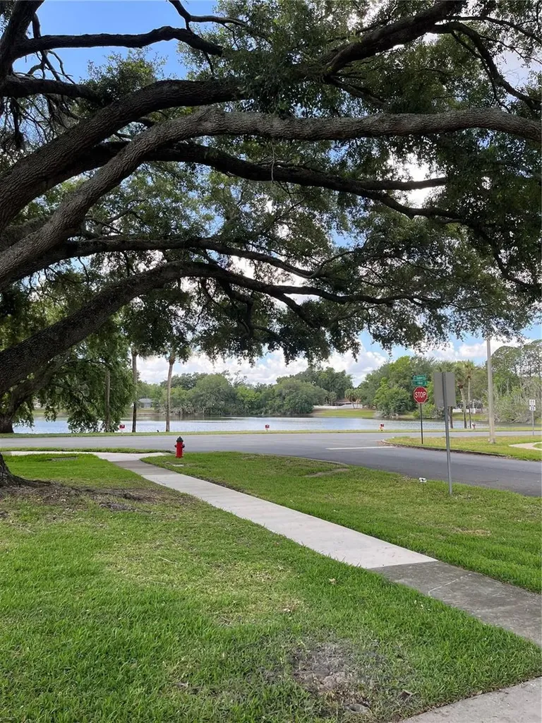 3001 Stratford Lane Mount Dora FL 32757