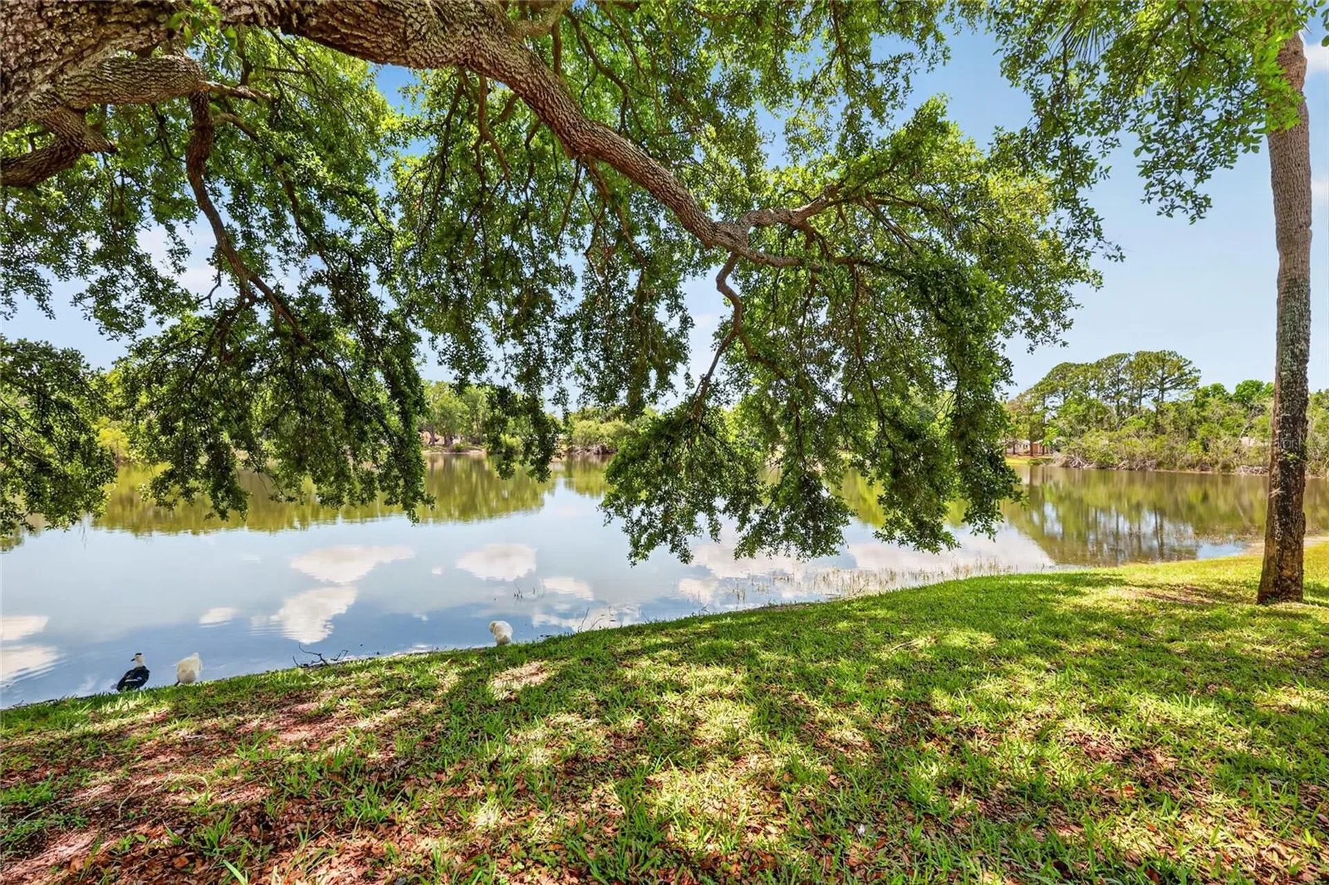 3001 Stratford Lane Mount Dora FL 32757