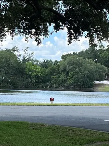 3001 Stratford Lane Mount Dora FL 32757