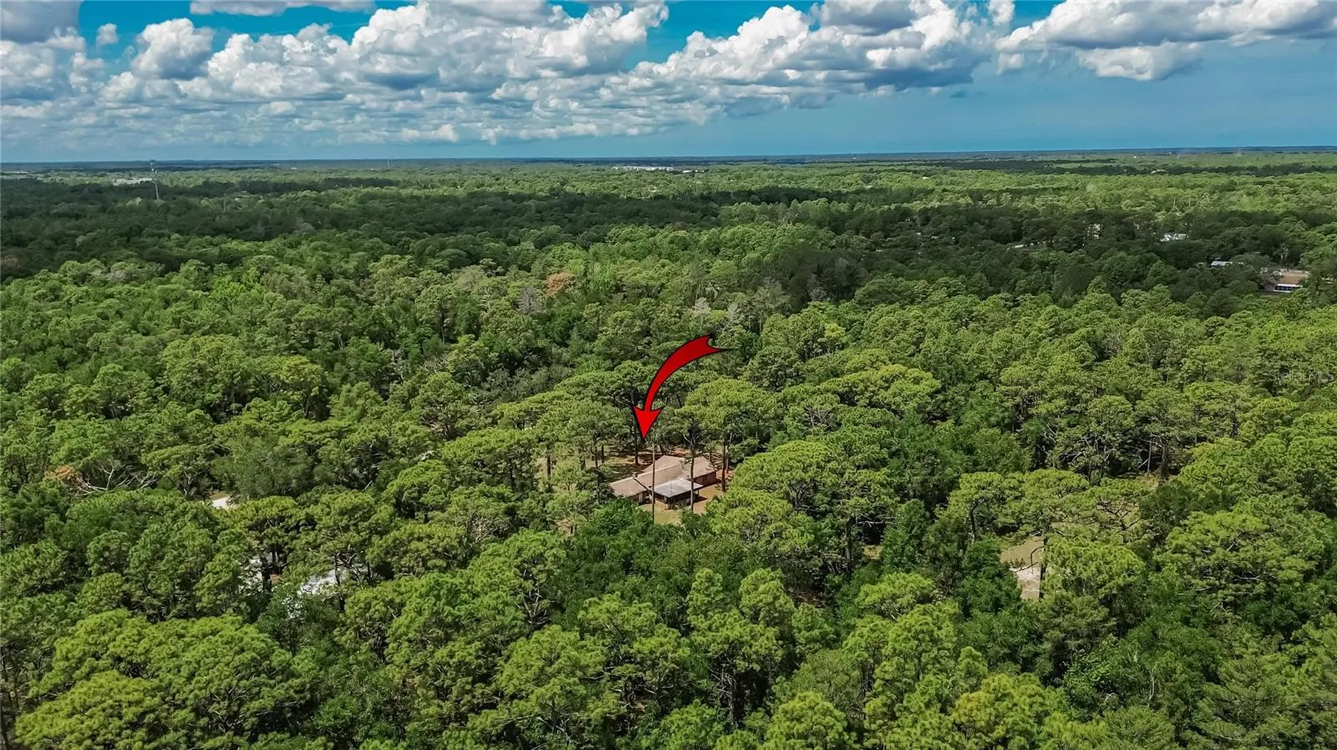 15337 Virts Avenue Brooksville FL 34604