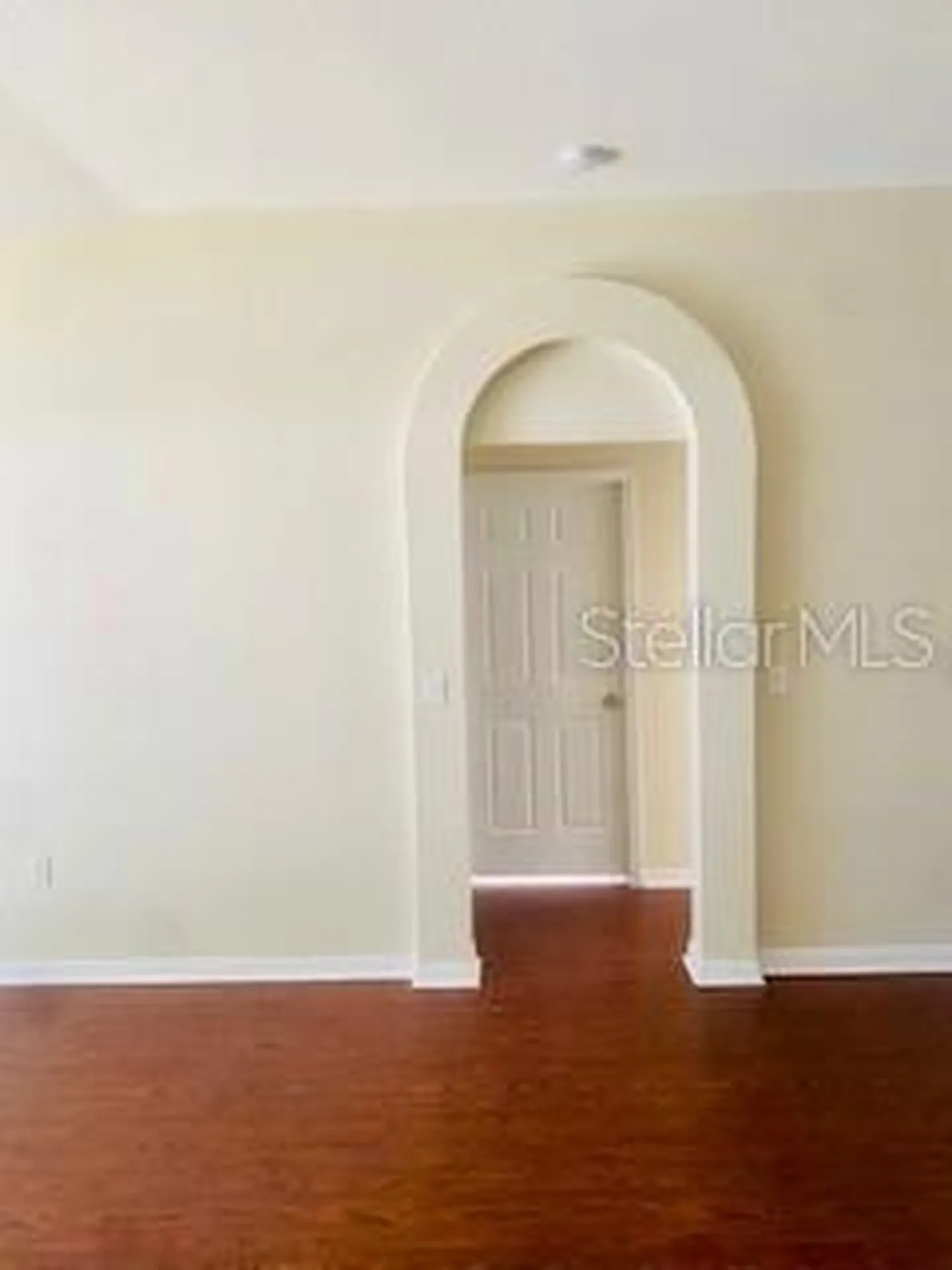 7731 Merchantville Circle Zephyrhills FL 33540