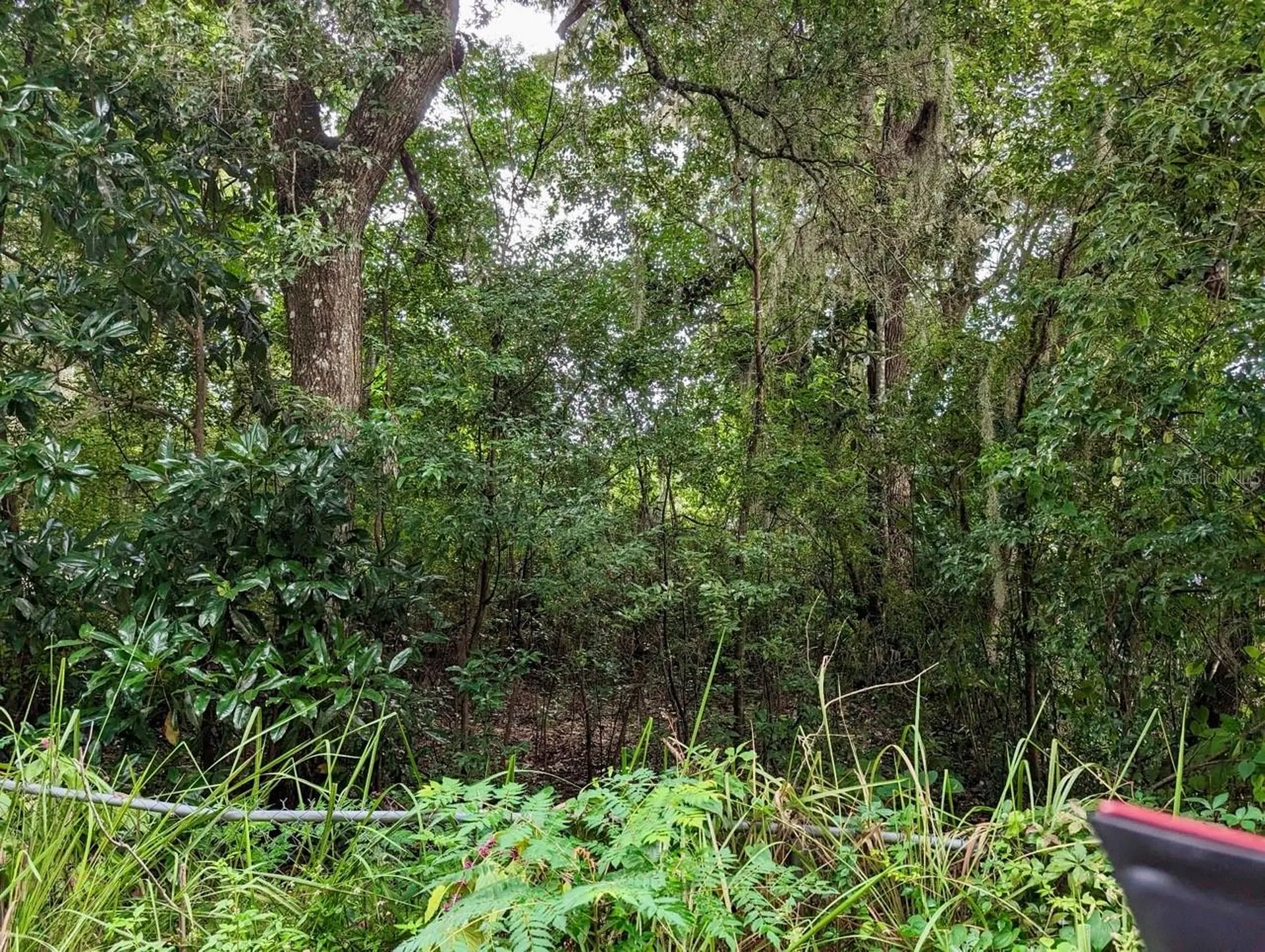 25130 NE 132nd Lane Salt Springs FL 32134