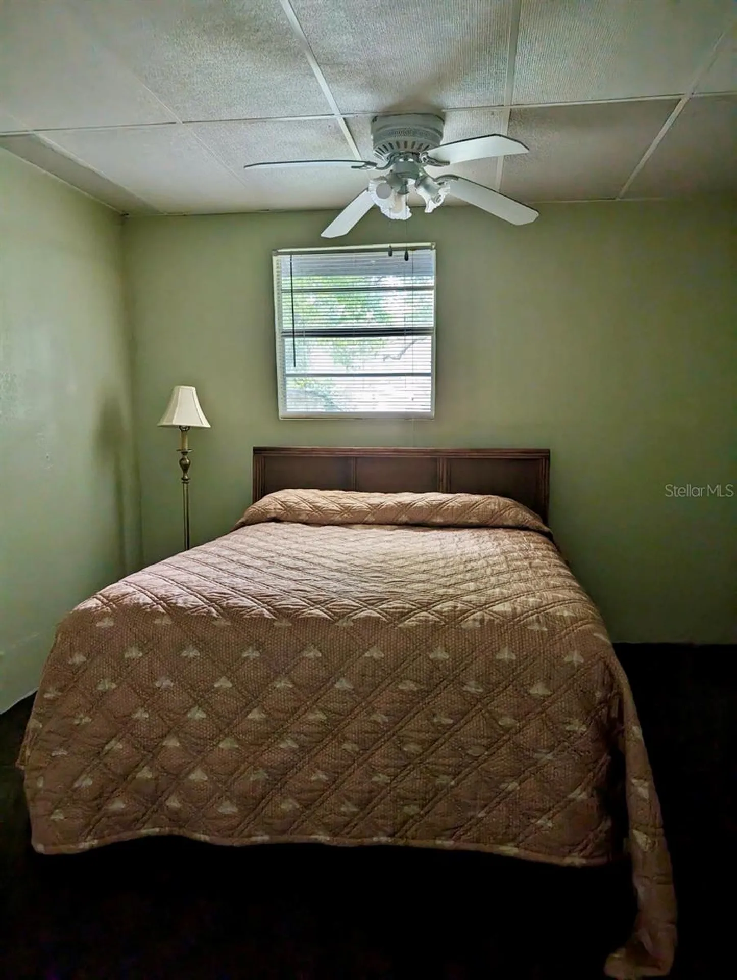 25130 NE 132nd Lane Salt Springs FL 32134
