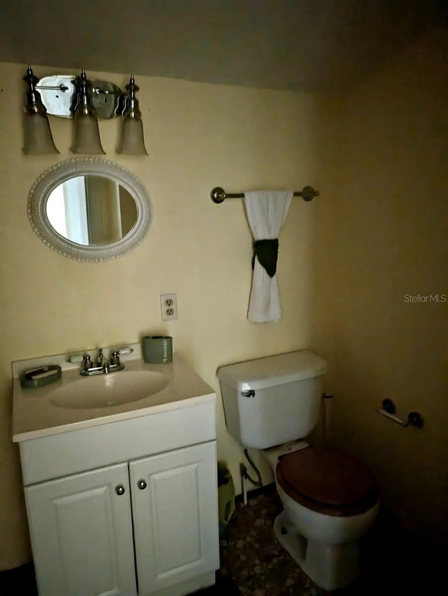 25130 NE 132nd Lane Salt Springs FL 32134
