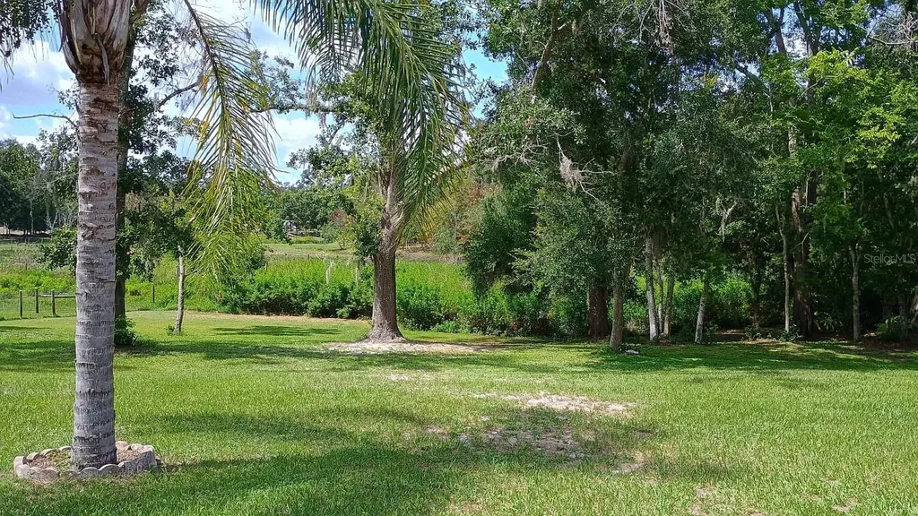 2401 Tangerine Hill Court Lutz FL 33549