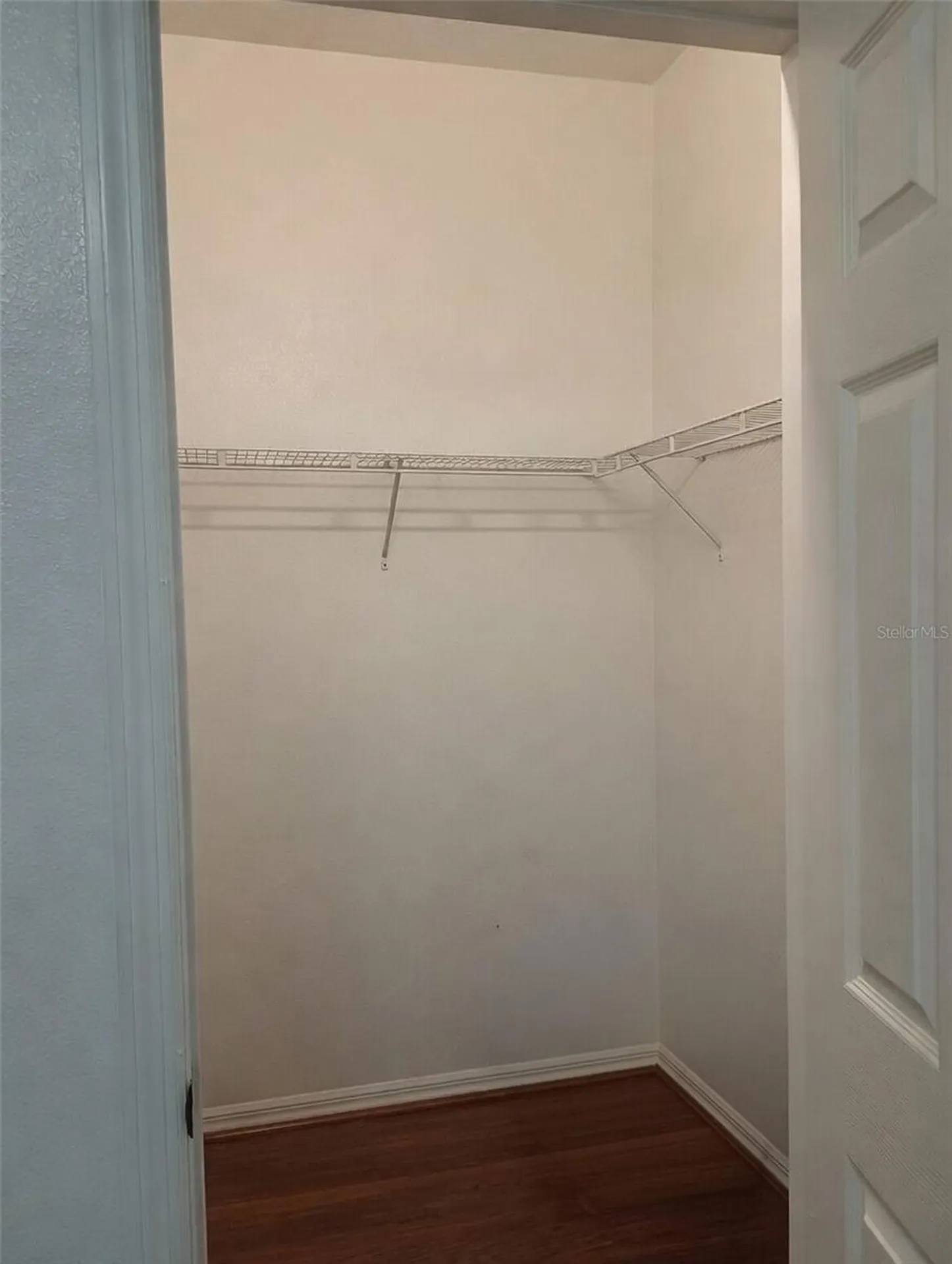 2401 Tangerine Hill Court Lutz FL 33549