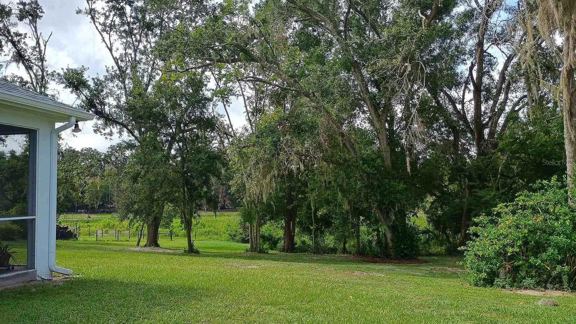 2401 Tangerine Hill Court Lutz FL 33549