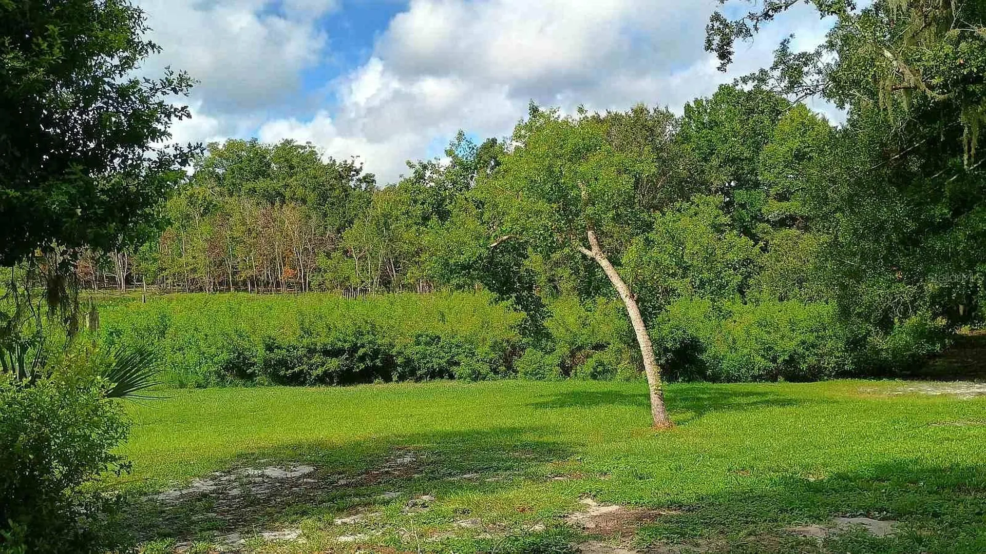 2401 Tangerine Hill Court Lutz FL 33549