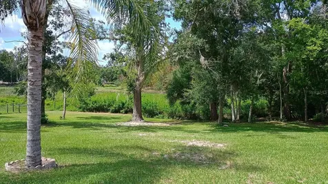 2401 Tangerine Hill Court Lutz FL 33549