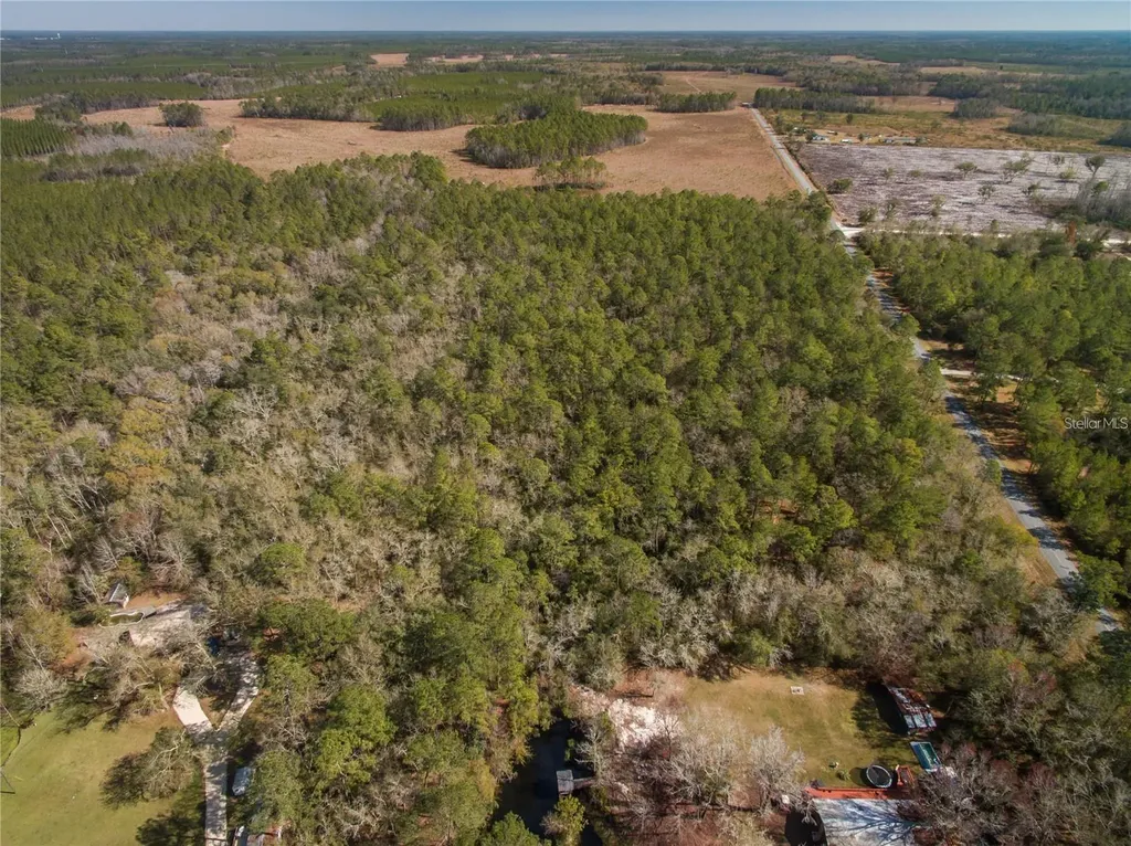 Xxxx Weeks Lane Lake City FL 32025