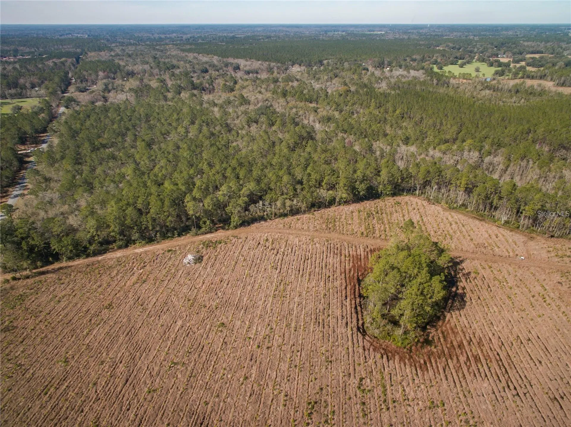 Xxxx Weeks Lane Lake City FL 32025