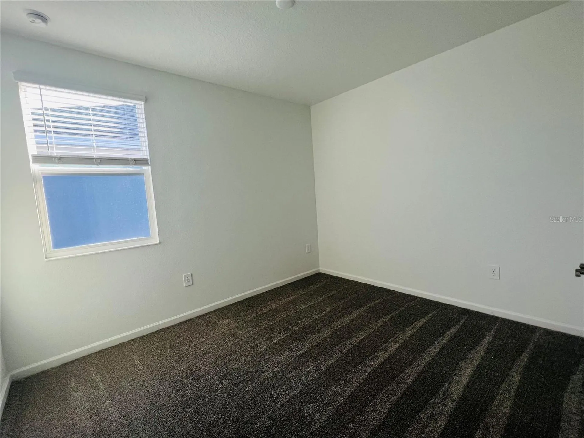 13891 Title Way Winter Garden FL 34787