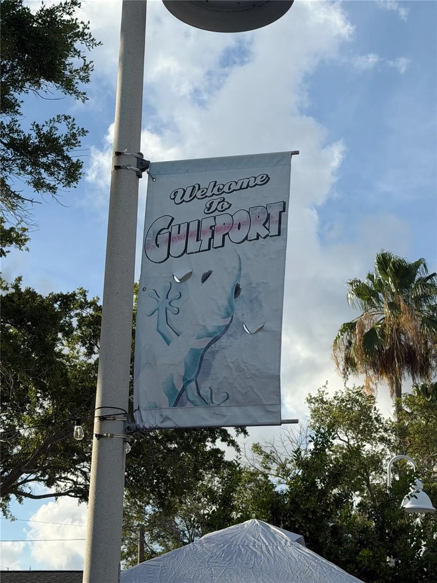 5009 9th Avenue S Gulfport FL 33707