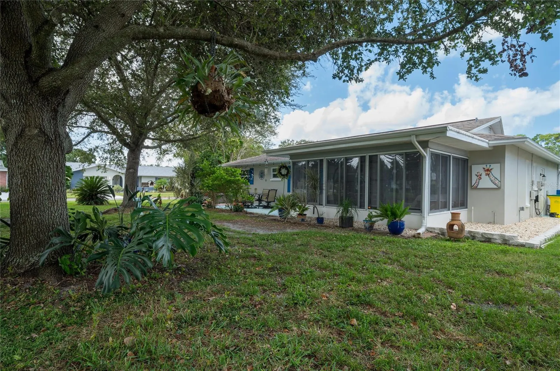 1472 Queen Anne Drive Palm Harbor FL 34684