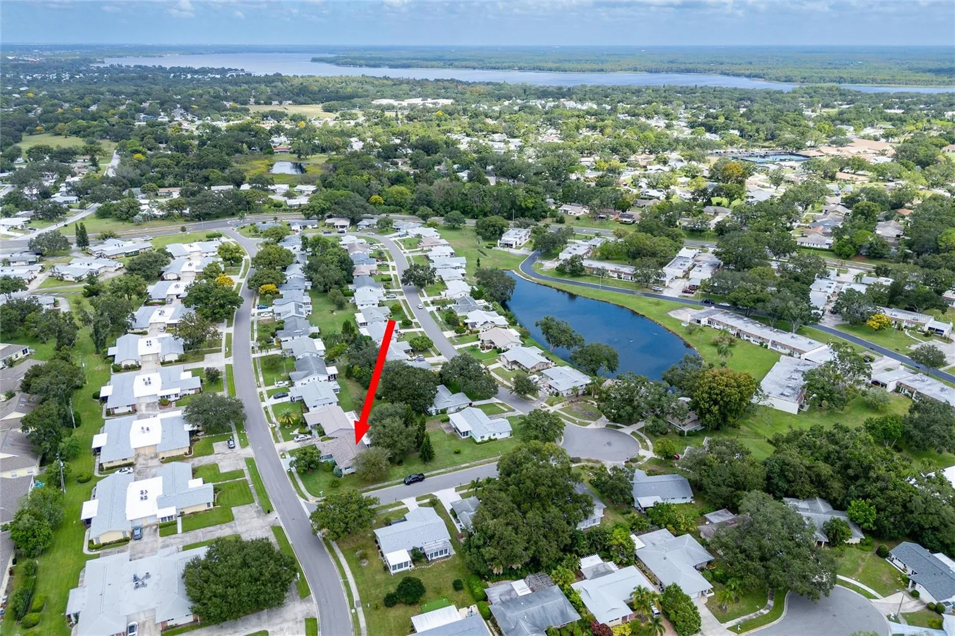 1472 Queen Anne Drive Palm Harbor FL 34684