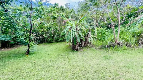 Carr 115 Sector Mingo Mela Rincon PR 00677