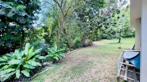 Carr 115 Sector Mingo Mela Rincon PR 00677