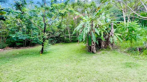 Carr 115 Sector Mingo Mela Rincon PR 00677