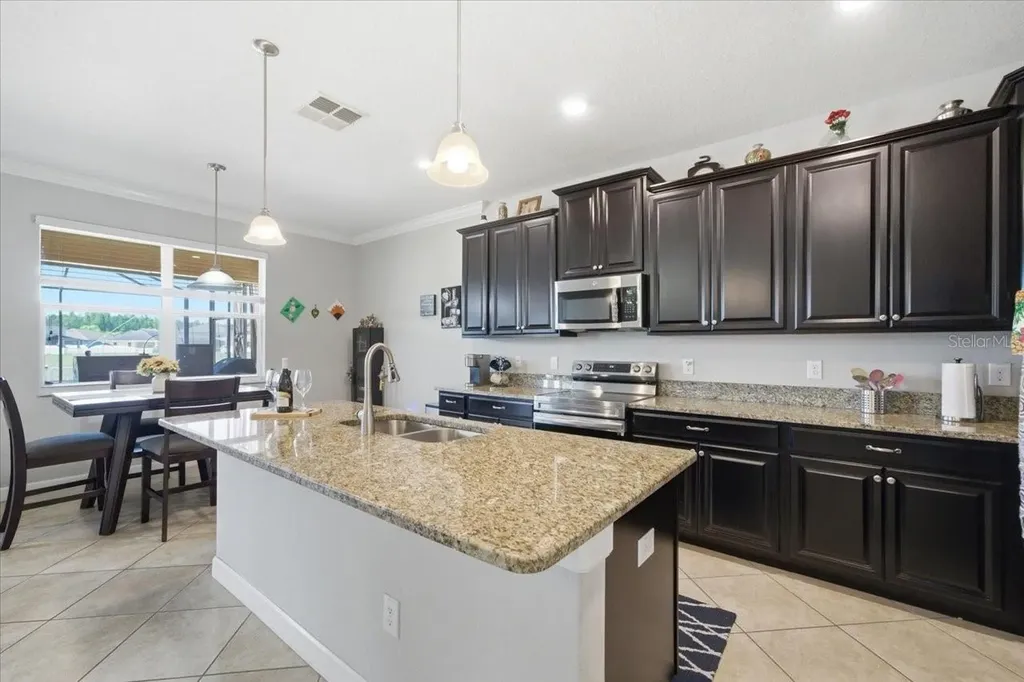 19132 Andrea Lynn Lane Land O Lakes FL 34638