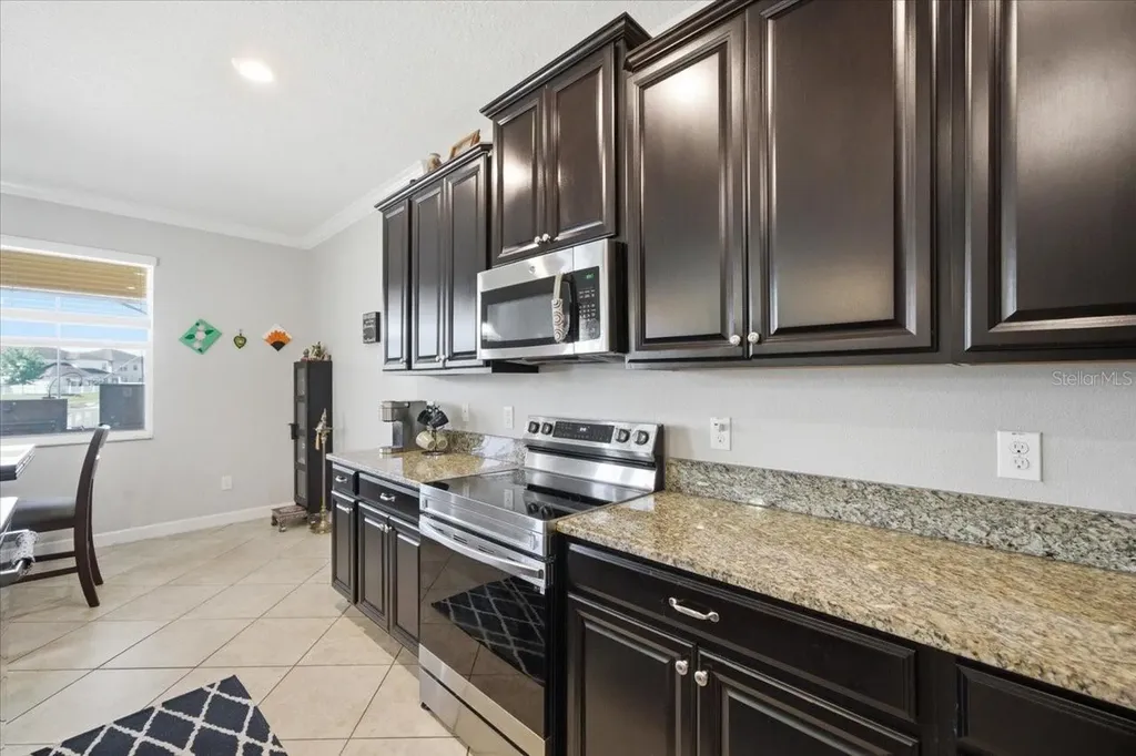 19132 Andrea Lynn Lane Land O Lakes FL 34638