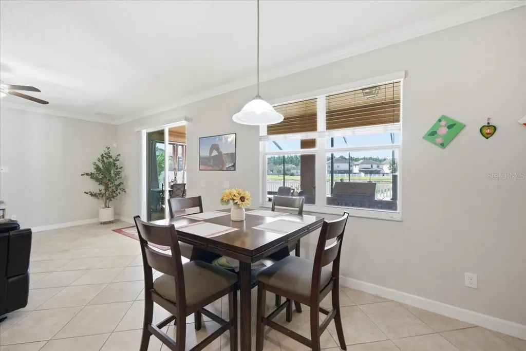 19132 Andrea Lynn Lane Land O Lakes FL 34638