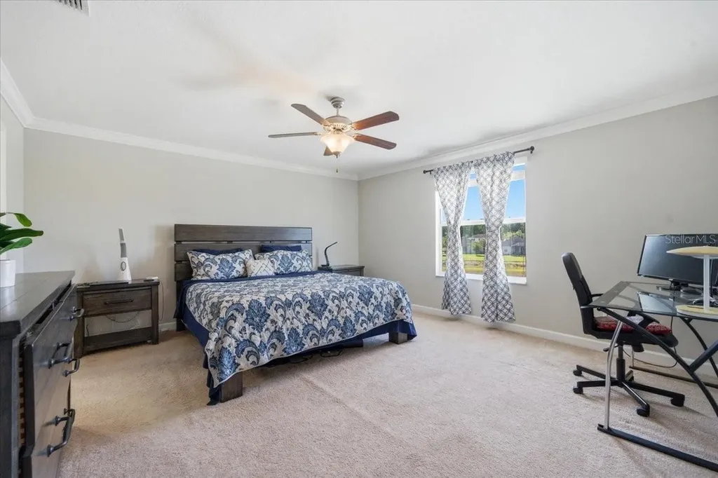 19132 Andrea Lynn Lane Land O Lakes FL 34638