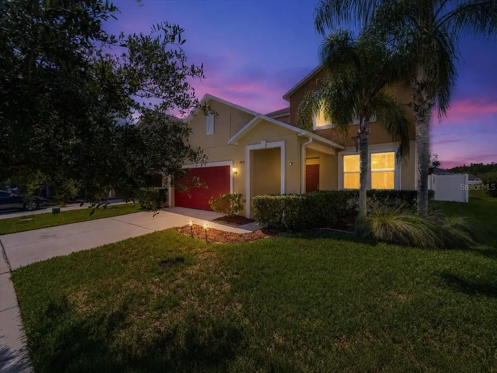 19132 Andrea Lynn Lane Land O Lakes FL 34638